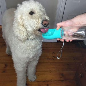 Dog drinks from the Travel Dog Water Bottle