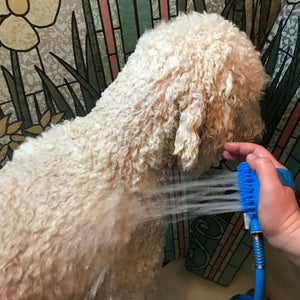 Back Washing with the Dog Bath Shower Massage Brush