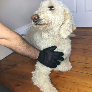 Dog Chest Rub with Grooming Massage Gloves
